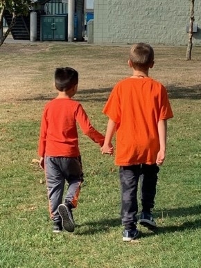 Two boys holding hands walking on grass

Description automatically generated, Picture