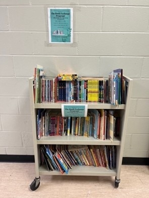 A book shelf with books on it

Description automatically generated, Picture